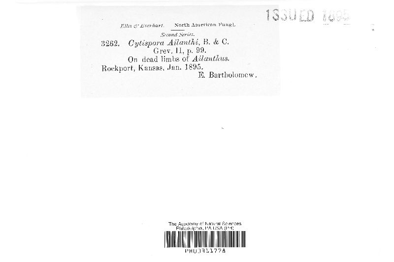 Cytospora ailanthi image