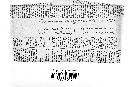 Epicoccum vulgare image