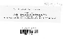 Tranzschelia pruni-spinosae image