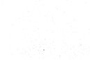 Thumbnail image of current specimen