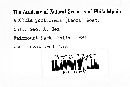Thumbnail image of current specimen