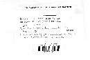 Biscogniauxia atropunctata image
