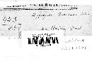 Creosphaeria sassafras image