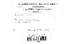 Hypoxylon subiculosum image