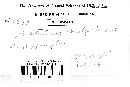 Kretzschmaria deusta image