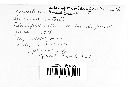 Cronartium coleosporioides image
