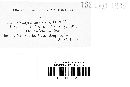 Uromyces aterrimus image