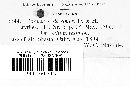 Uromyces aterrimus image