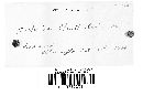 Dacryopinax spathularia image