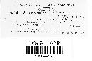 Exobasidium vaccinii image