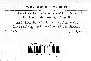 Faerberia carbonaria image