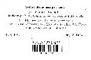 Thumbnail image of current specimen