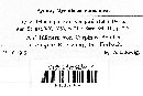 Gnomonia fimbriata image