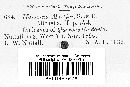 Thumbnail image of current specimen