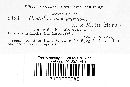 Pestalozzia scirpina image