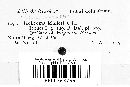 Thumbnail image of current specimen
