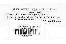 Uropyxis amorphae image