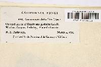 Image Associated With the Occurrence