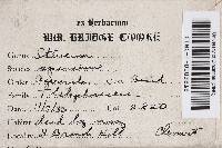 Image Associated With the Occurrence