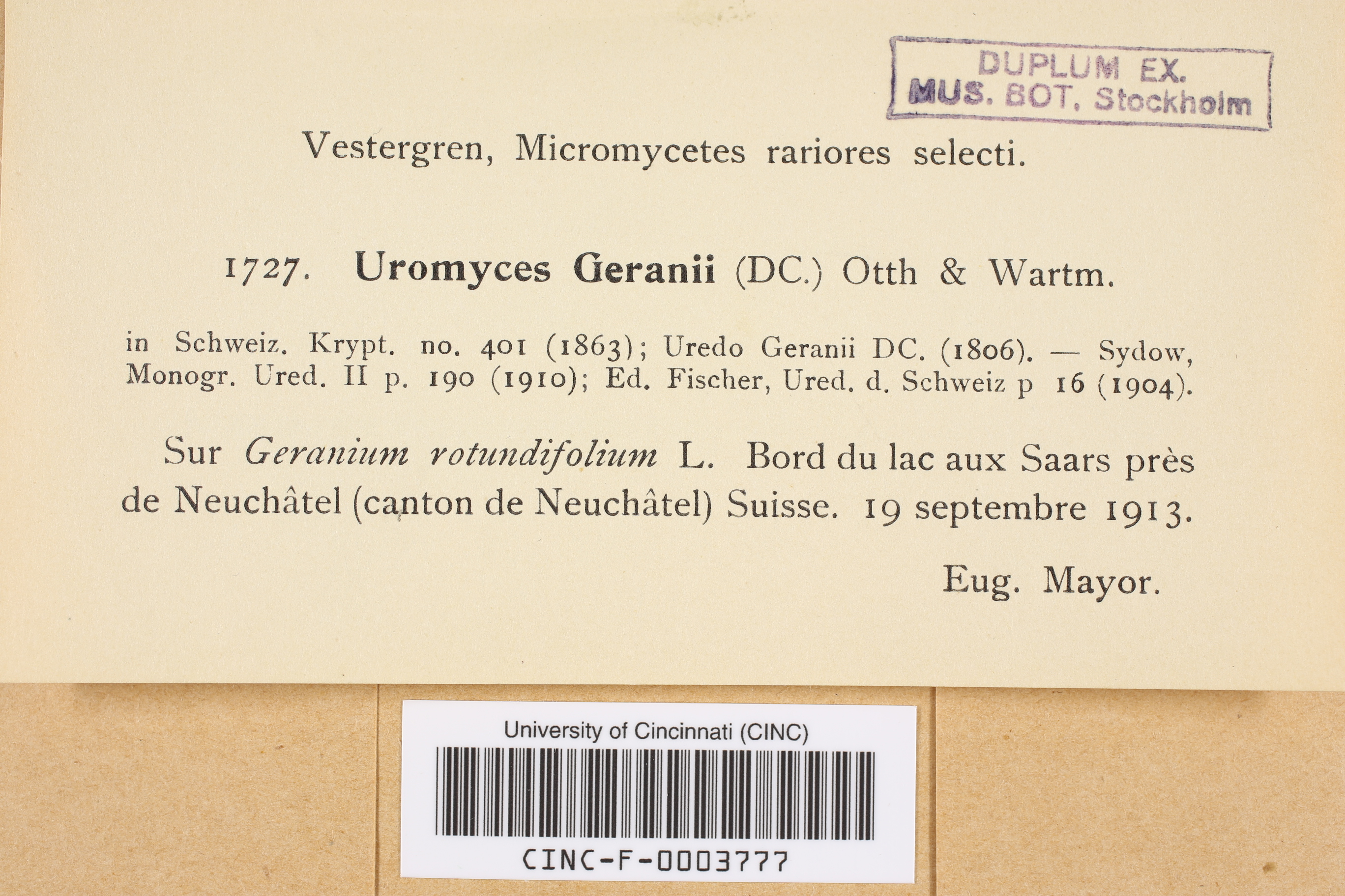Uromyces geranii