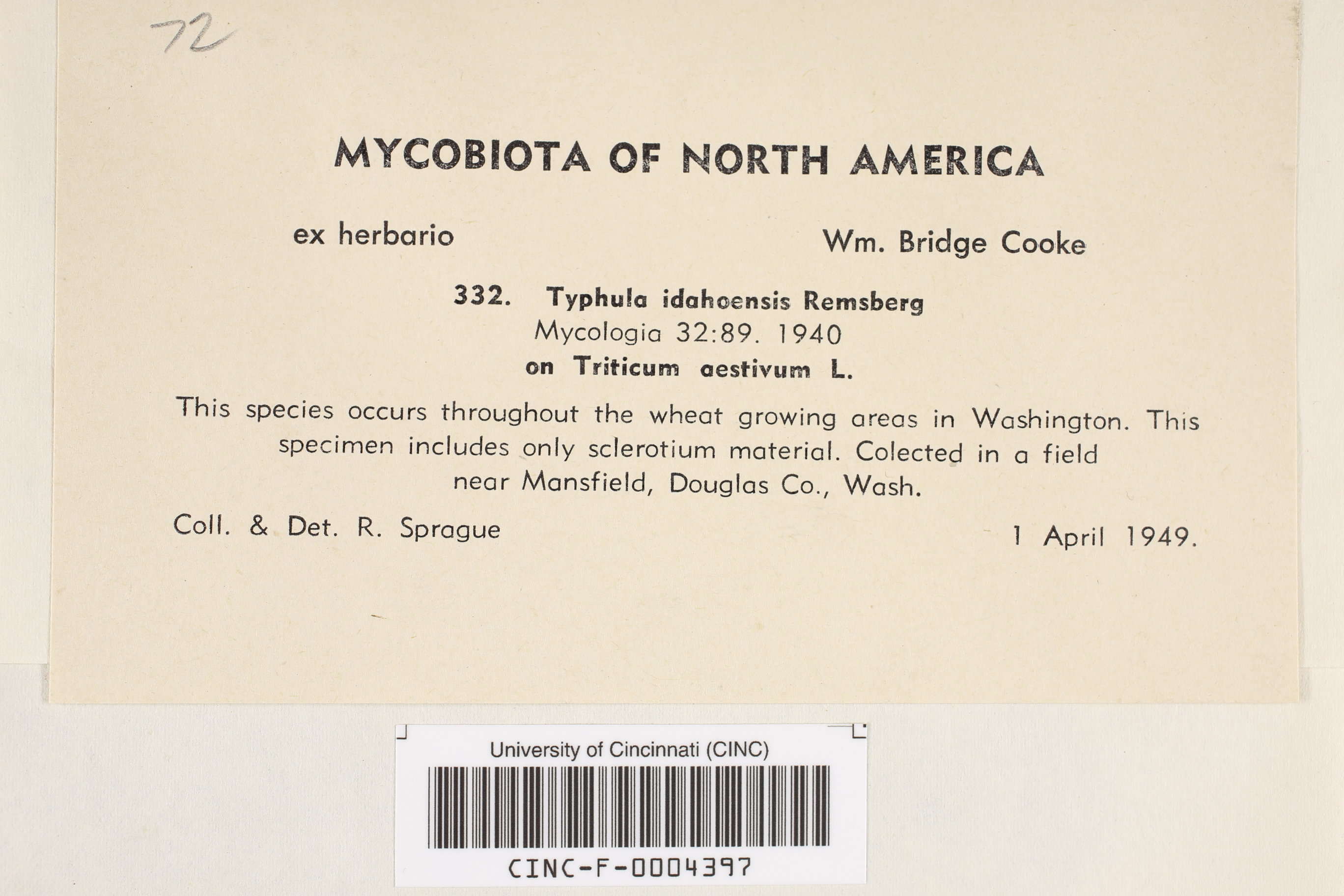 Typhula idahoensis