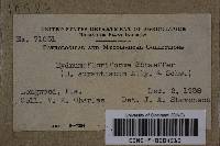 Image Associated With the Occurrence