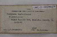 Postia tephroleuca image