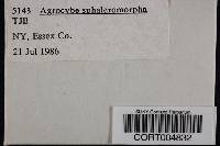 Media resource of Agrocybe sphaleromorpha