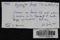 Thumbnail image of current specimen