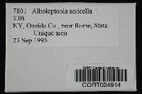 Entoloma sericellum image