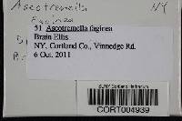 Image Associated With the Occurrence