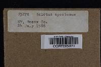 Media resource of Boletus speciosus