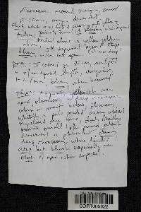 Boletus chrysenteron image