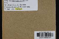 Media resource of Boletus aurantiosplendens