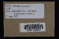 Media resource of Boletus fraternus