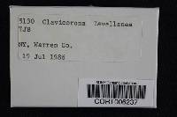 Thumbnail image of current specimen