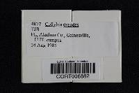 Thumbnail image of current specimen