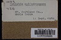 Image Associated With the Occurrence