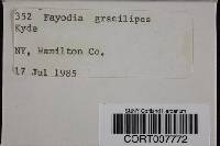 Image Associated With the Occurrence