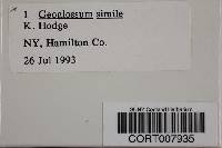 Thumbnail image of current specimen