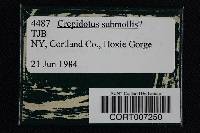 Image Associated With the Occurrence