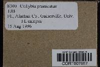 Image Associated With the Occurrence