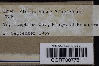 Thumbnail image of current specimen