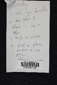 Image Associated With the Occurrence