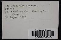 Media resource of Hygrocybe ceracea
