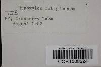 Media resource of Hypoxylon rubiginosum