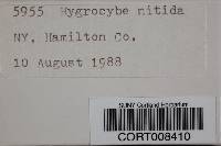 Media resource of Hygrocybe nitida