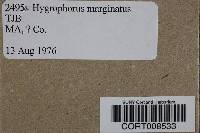 Humidicutis marginata image