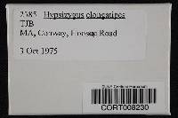 Media resource of Hypsizygus elongatipes