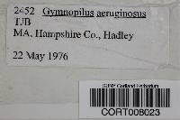 Media resource of Gymnopilus aeruginosus